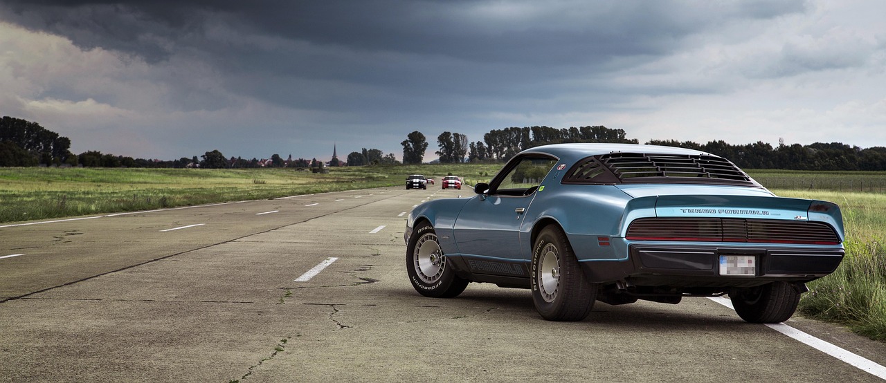 shelby muscle car car mustang